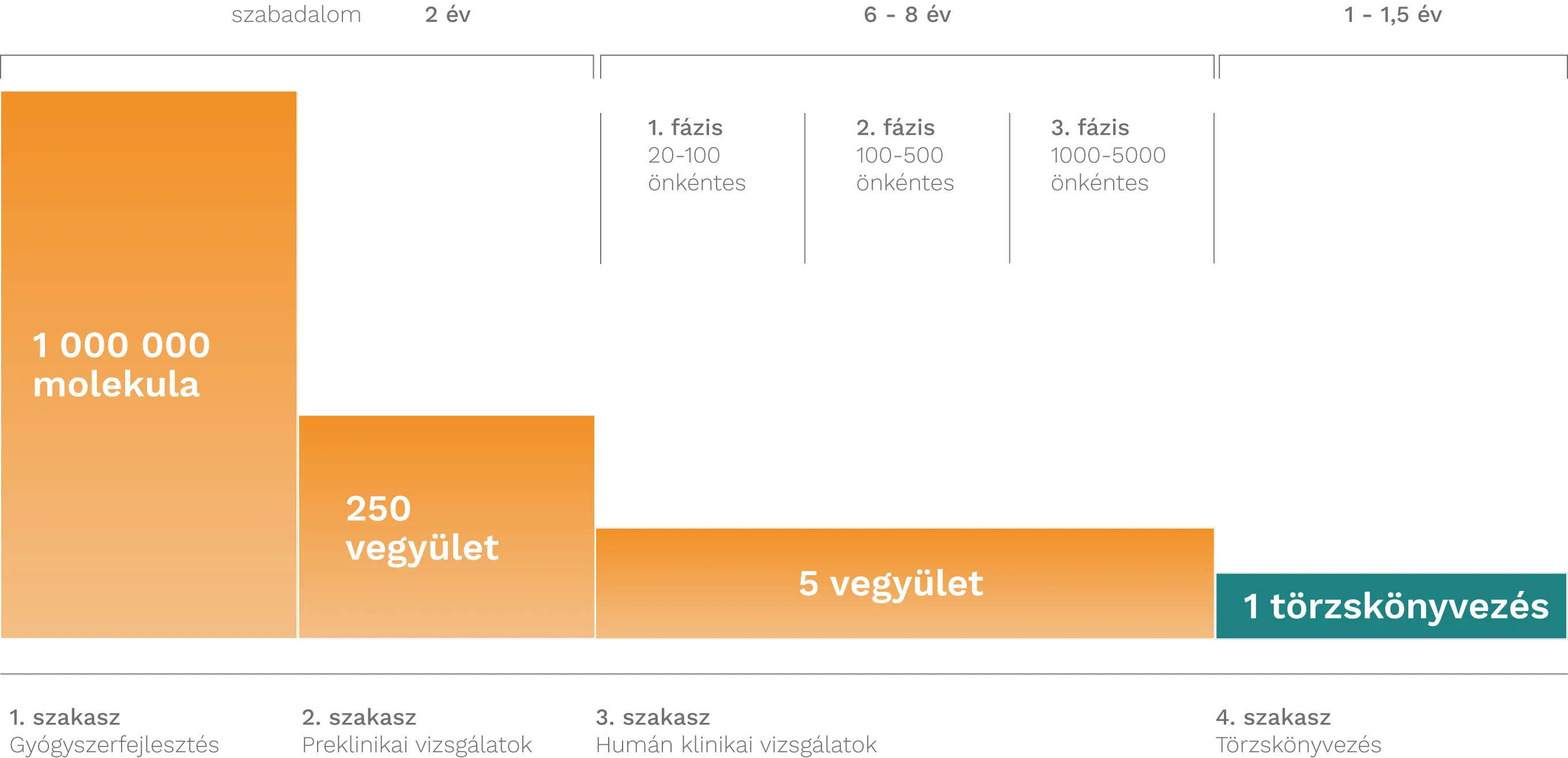 Az innovatív gyógyszerek fejlesztésének folyamata